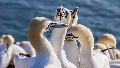 西双版纳2026年最新杭州高端商务伴游招聘网渠道分享(最方便真实的西双版纳茉莉伴游伴游天下全国联盟方法)